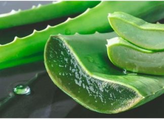 Aloe Vera gel