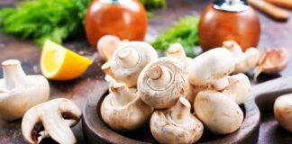 Top 5 Supplies to Cultivate Tasty & Healthy Mushrooms