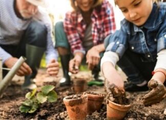 Home Gardening as a Rewarding Hobby