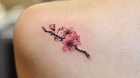 Cherry Blossom Tattoo PNG Transparent Images Free Download  Vector Files   Pngtree
