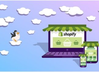 how to select the best shopify theme for your store in 2024