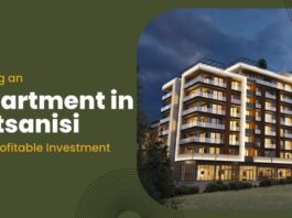 buying an apartment in krtsanisi is a profitable investment